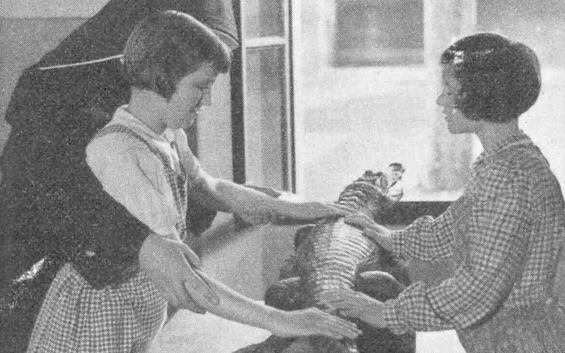 1951 Erste Fuersorgerin